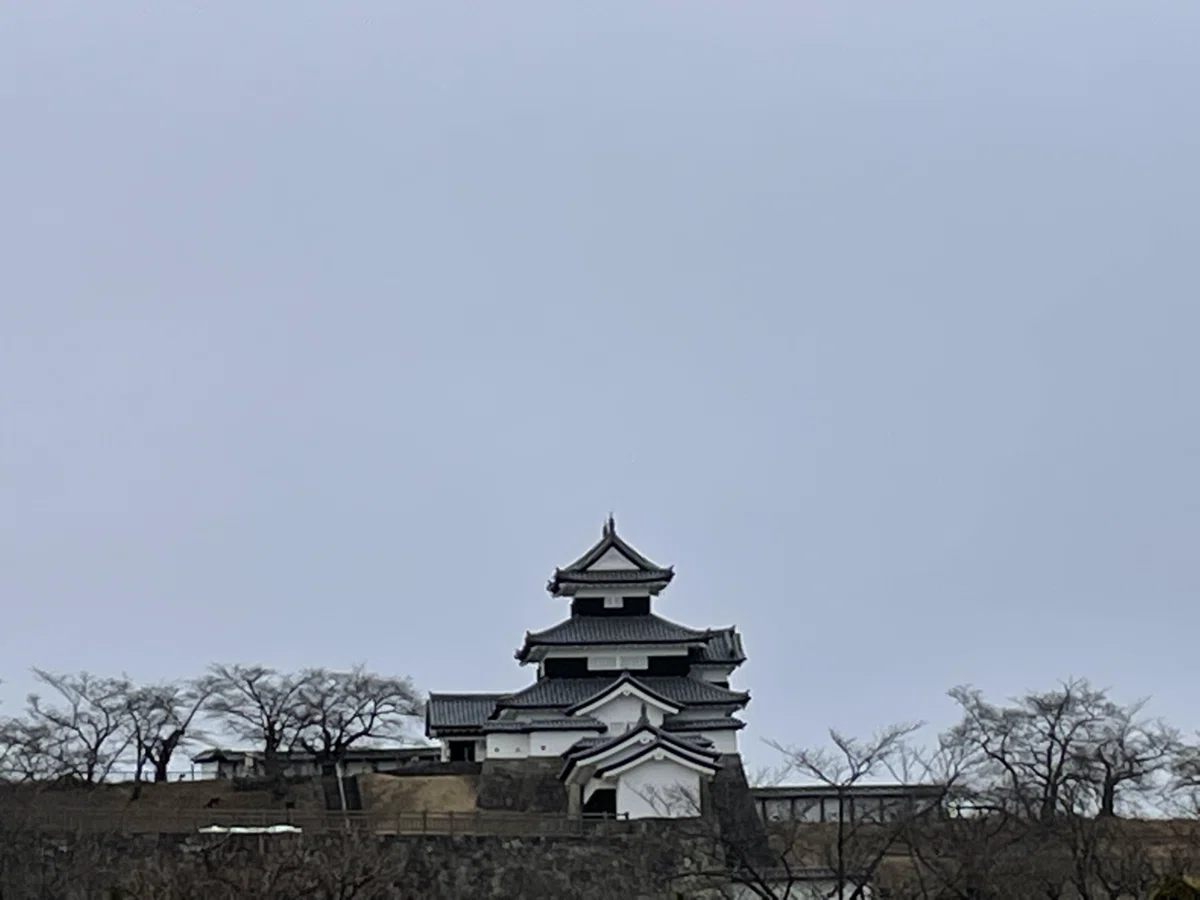 画像206