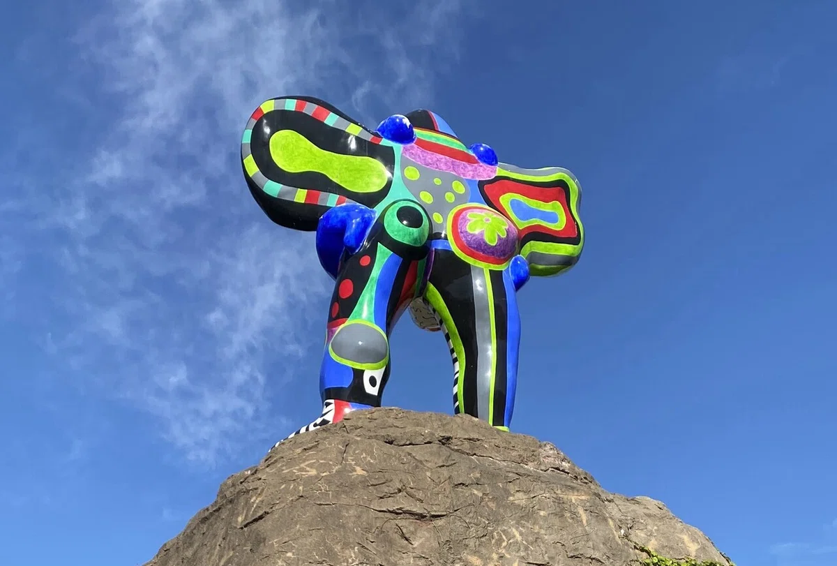 画像6