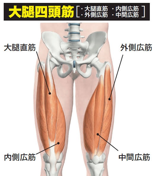 画像を拡大表示