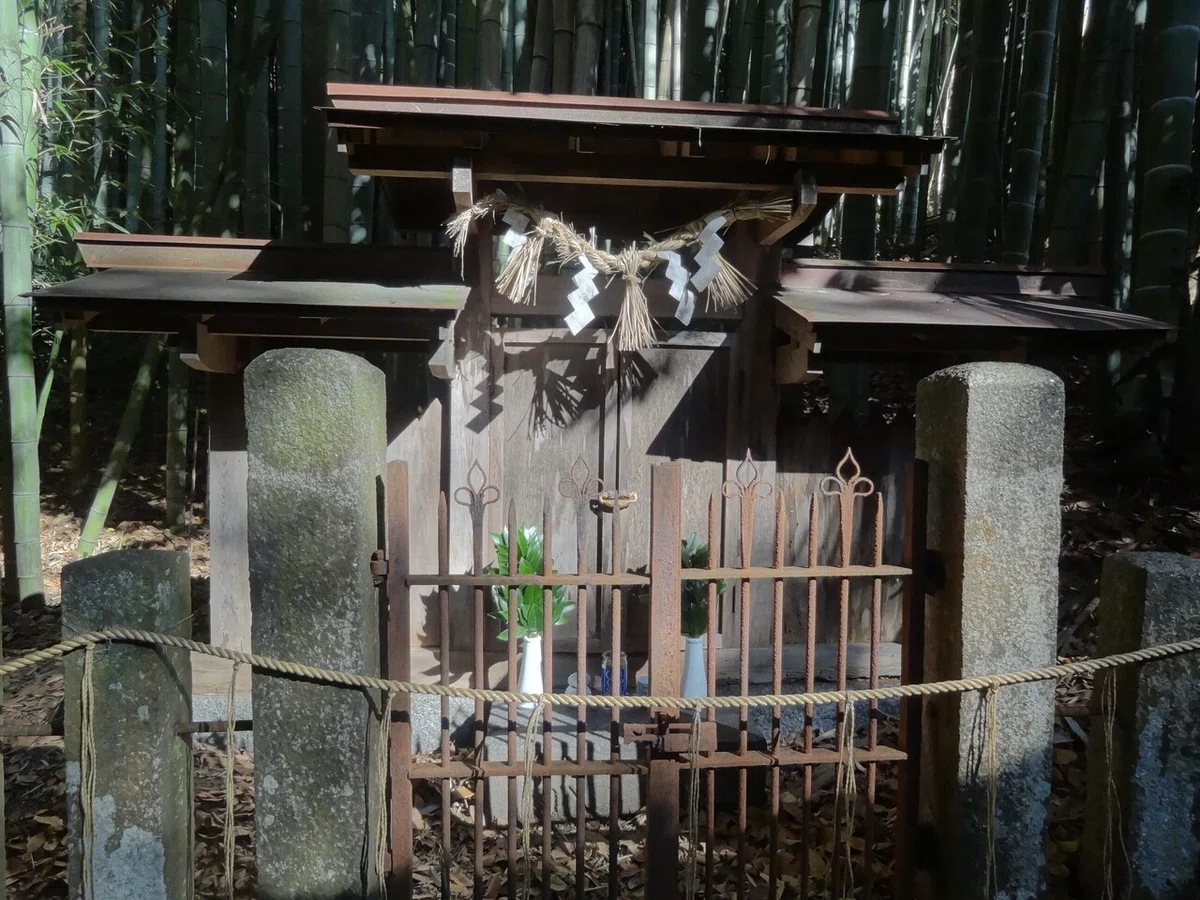 画像4