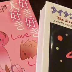 橋本萬太郎著作集　第一巻　言語類型地理論・文法　(内山書店) 希少本 共形場理論と1次元量子系(川上則雄, 梁成吉 著) / 愛書館中川