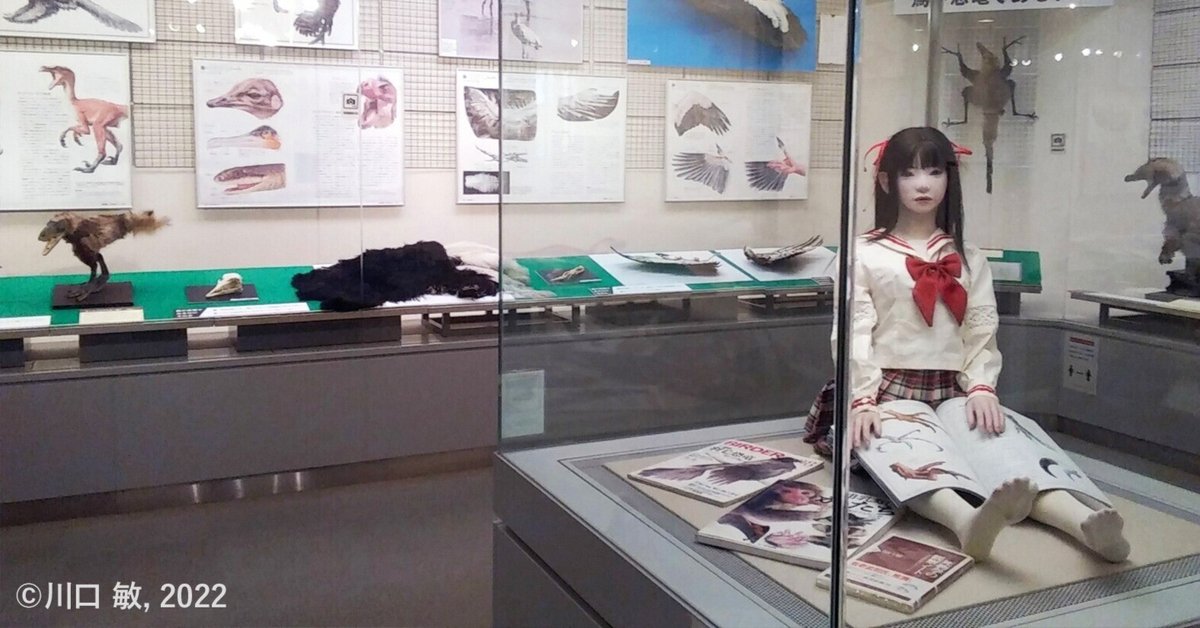 2月3日更新）まちかど生き物標本展｜ブンイチ（文一総合出版）