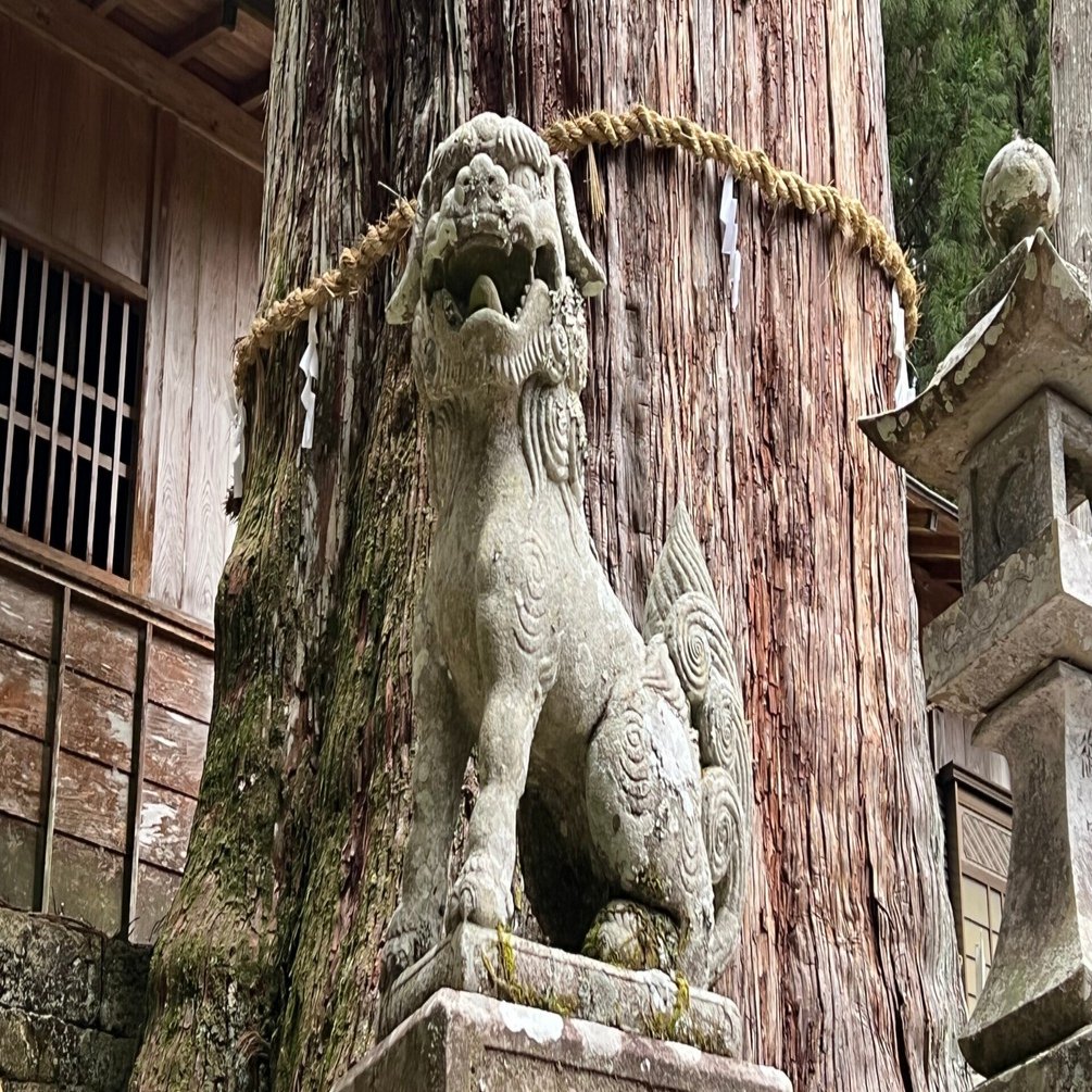愛知県で一番大きい巨樹を見に行く｜リブログ公式｜地域とテクノロジー