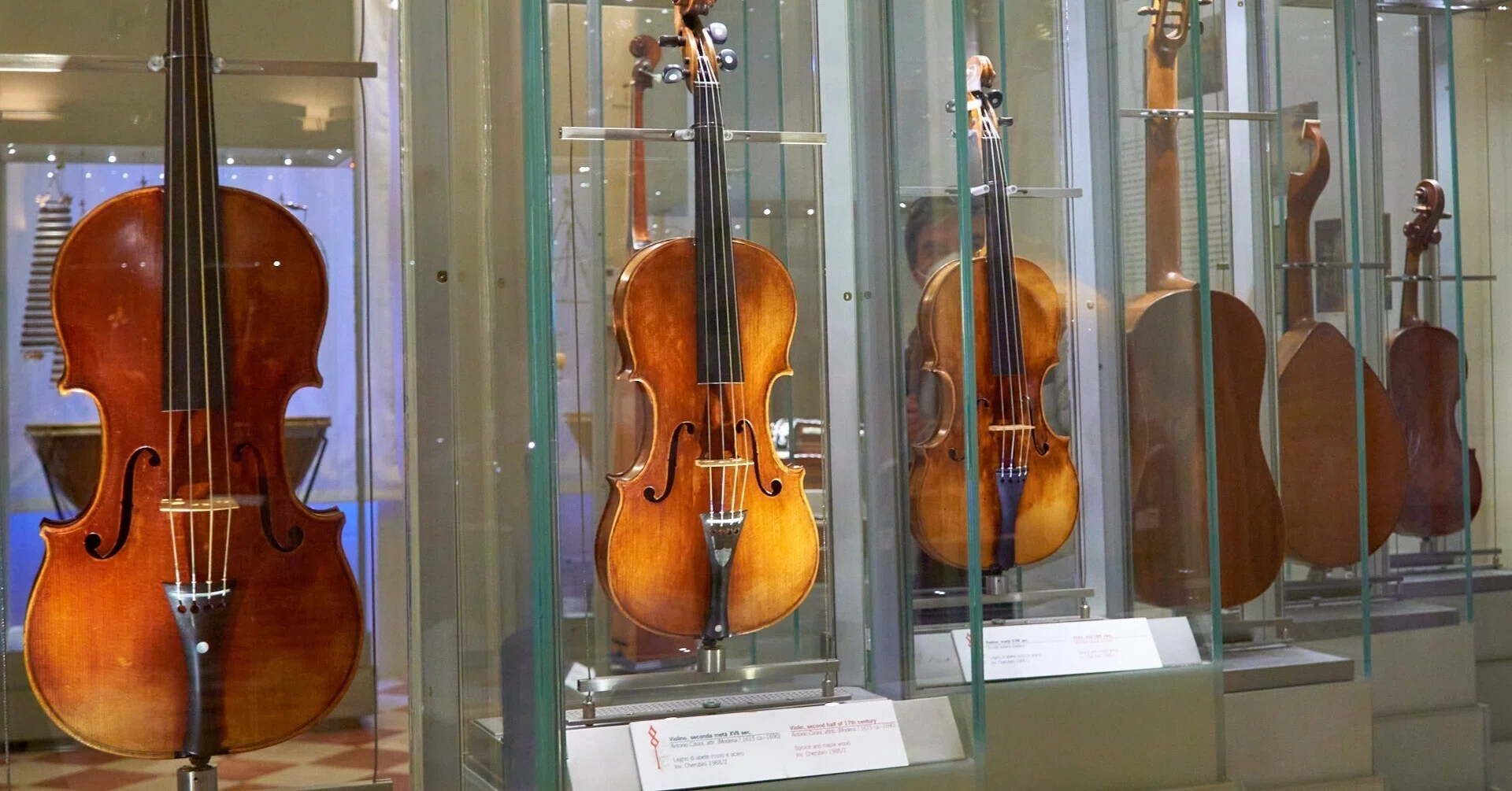 木片からバイオリンへ。木から音楽へ。｜イタリアのモノづくり | ようこ