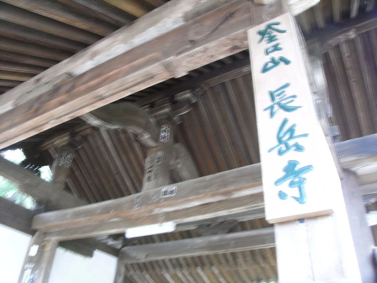 画像7