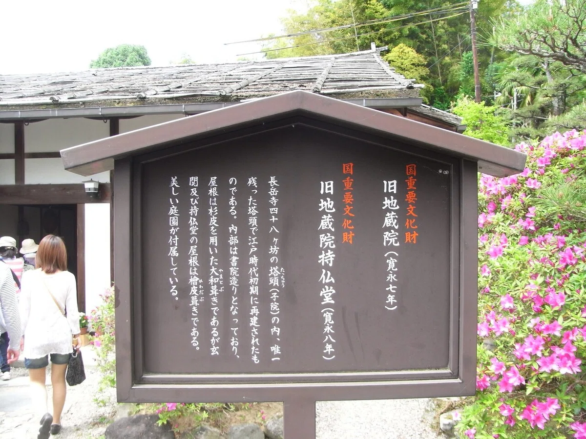 画像9
