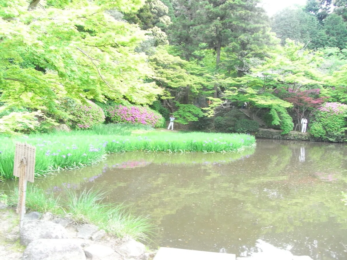 画像11