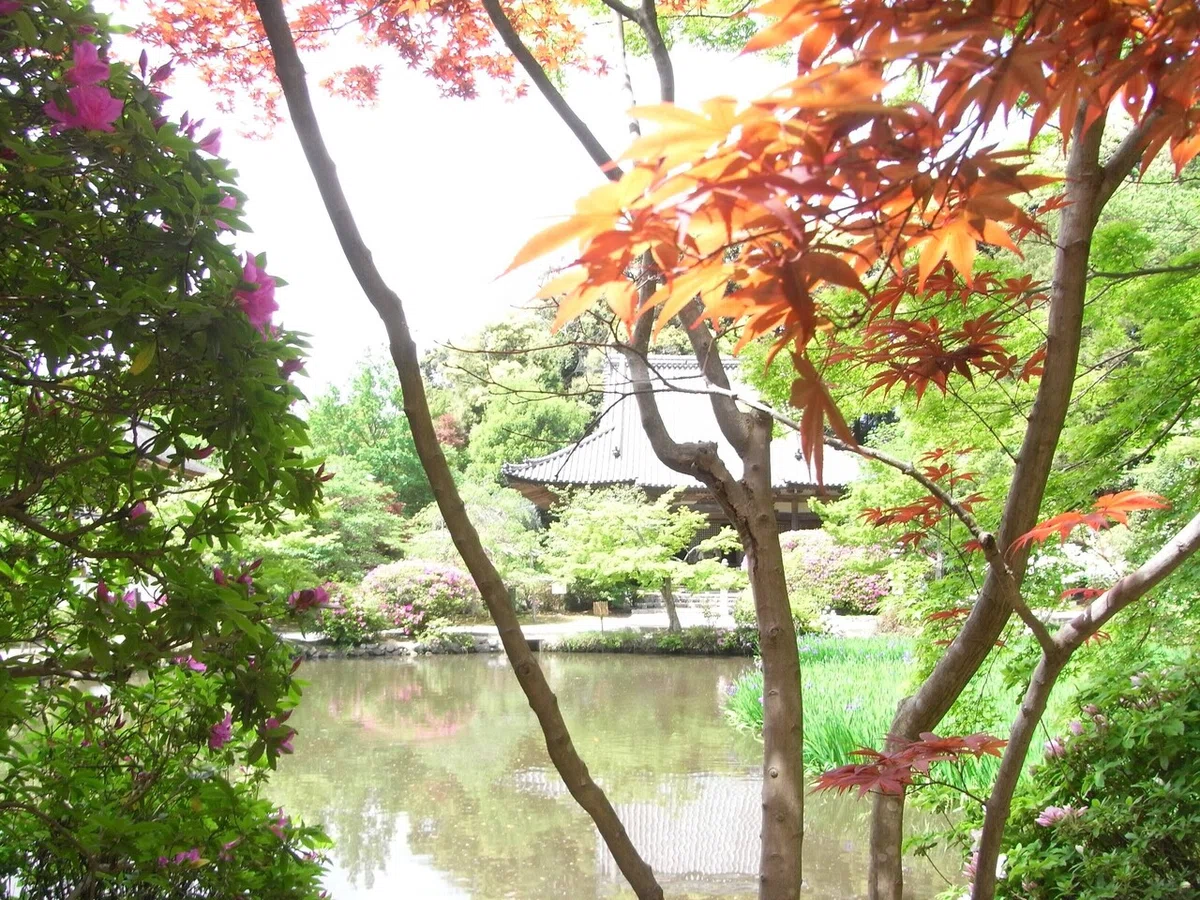 画像18