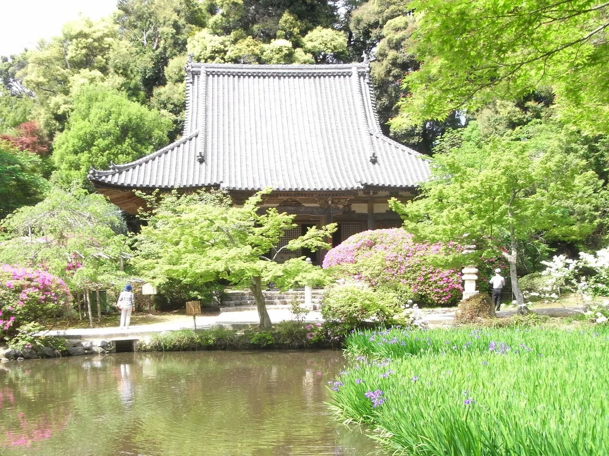 画像18