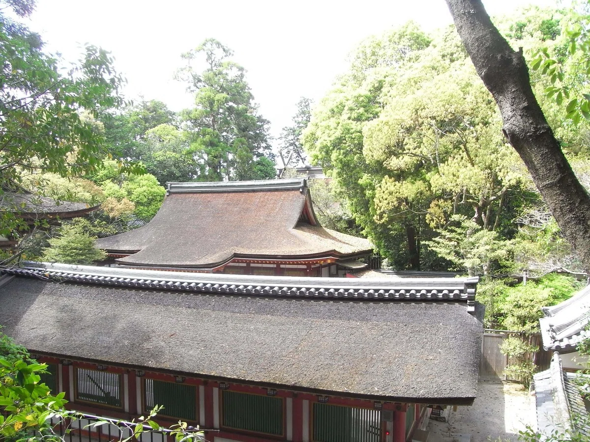 画像35