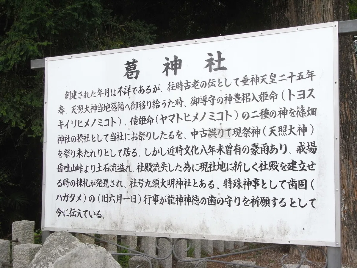 画像9