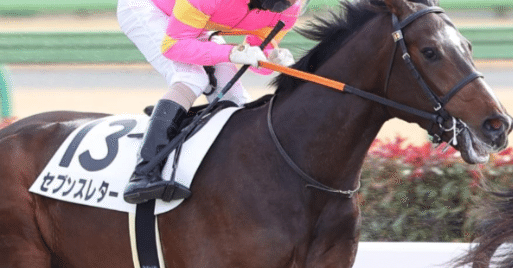 JRA  競馬　ナリタブライアン　引退記念　蹄鉄　フォトセット 激レア【競馬】ナリタブライアン テレカ