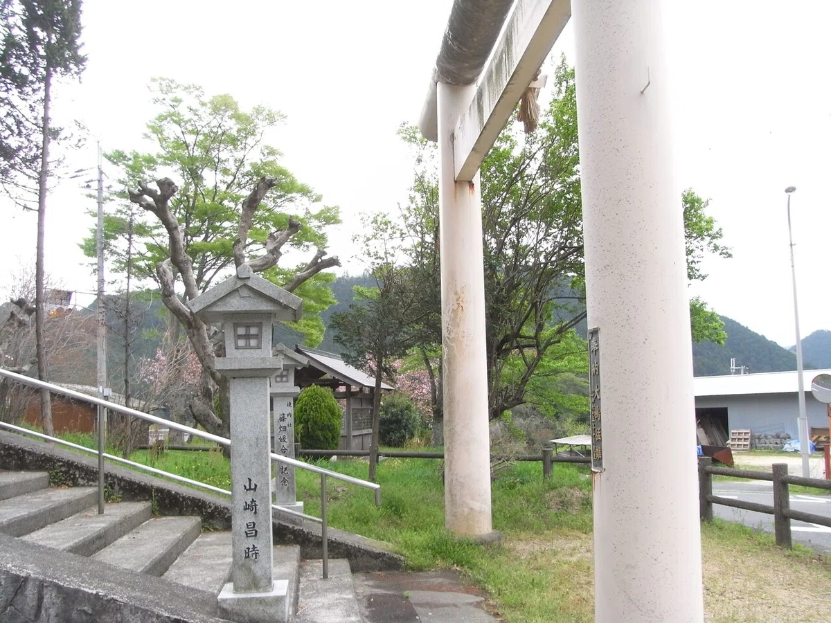 画像13