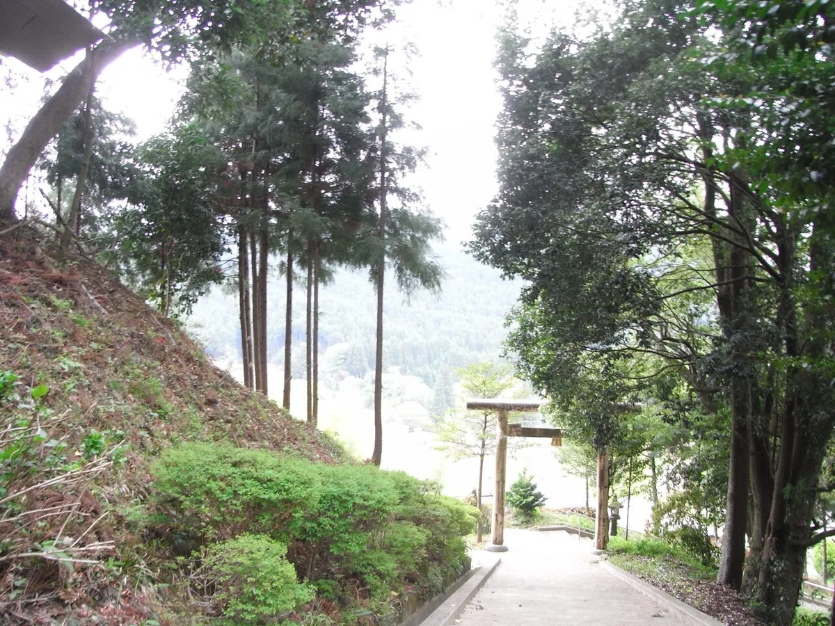 画像15