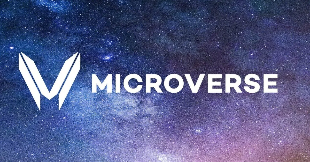 microverseが目指す世界｜Keita Shibuya