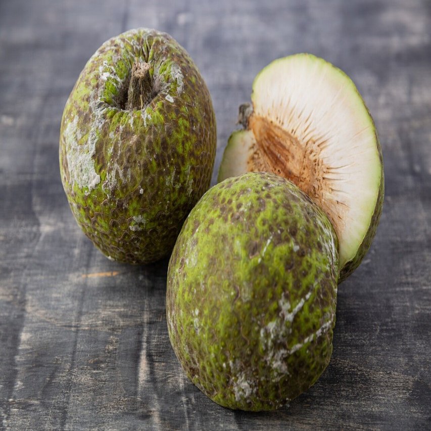 世界のサラダ図鑑 に登場してくる日本では手に入りにくい食材 第25回 果物 その4 ブレッドフルーツ パンノキの実 Masasus Note