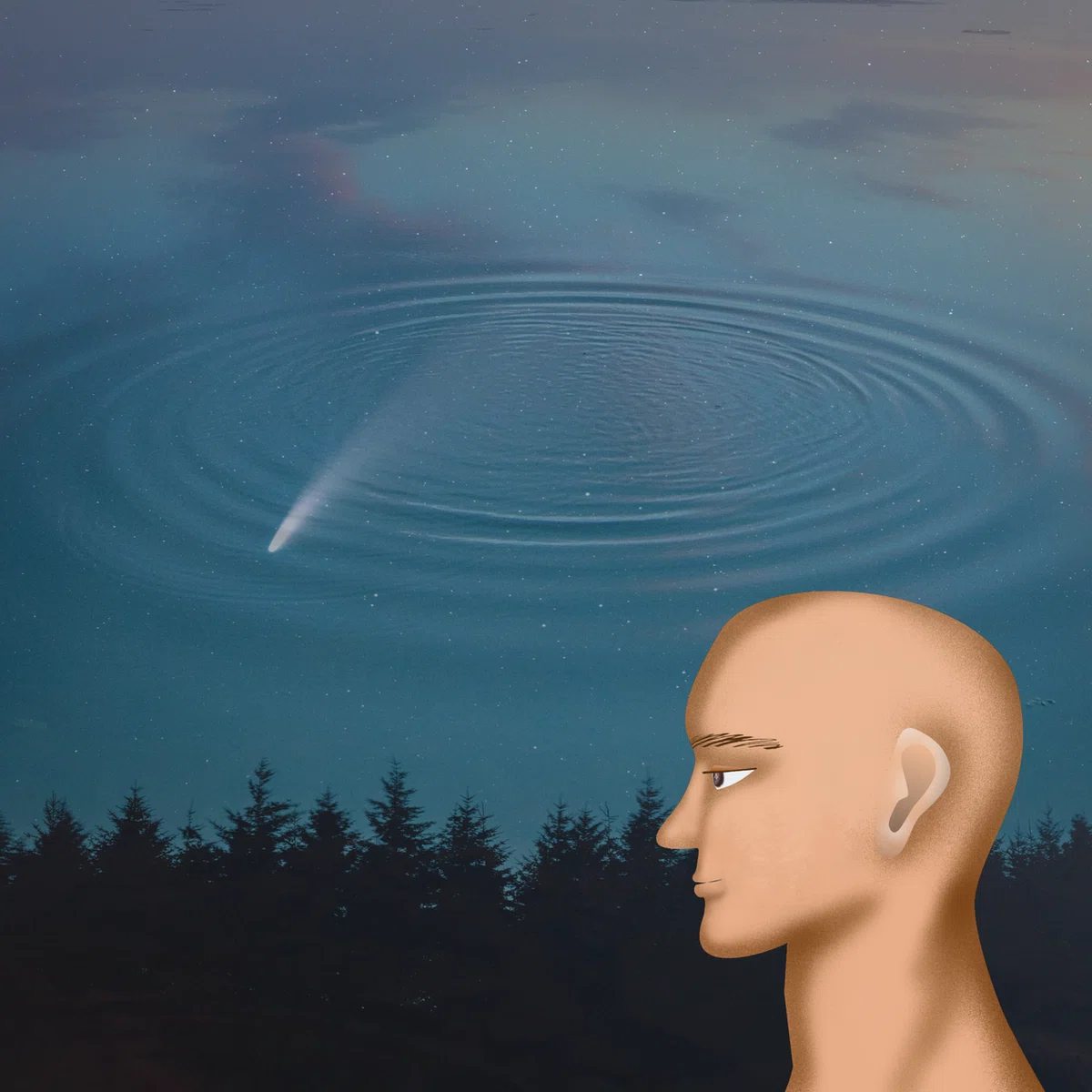 画像16