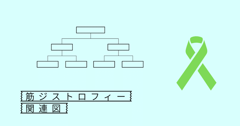 筋ジストロフィー【関連図】