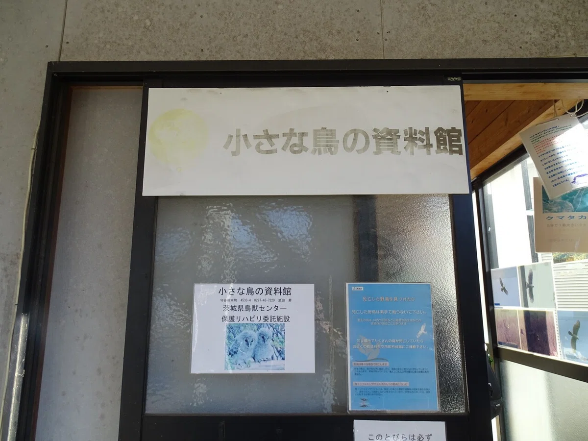 画像8