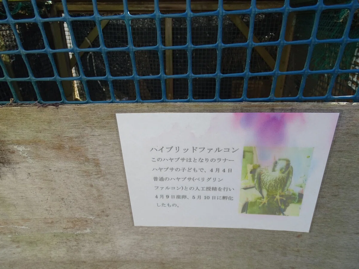 画像15