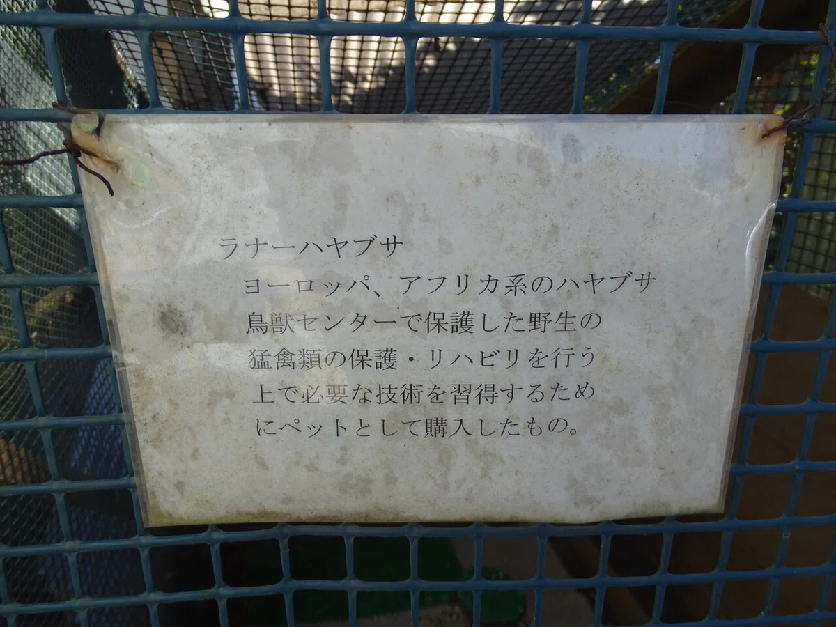 画像20