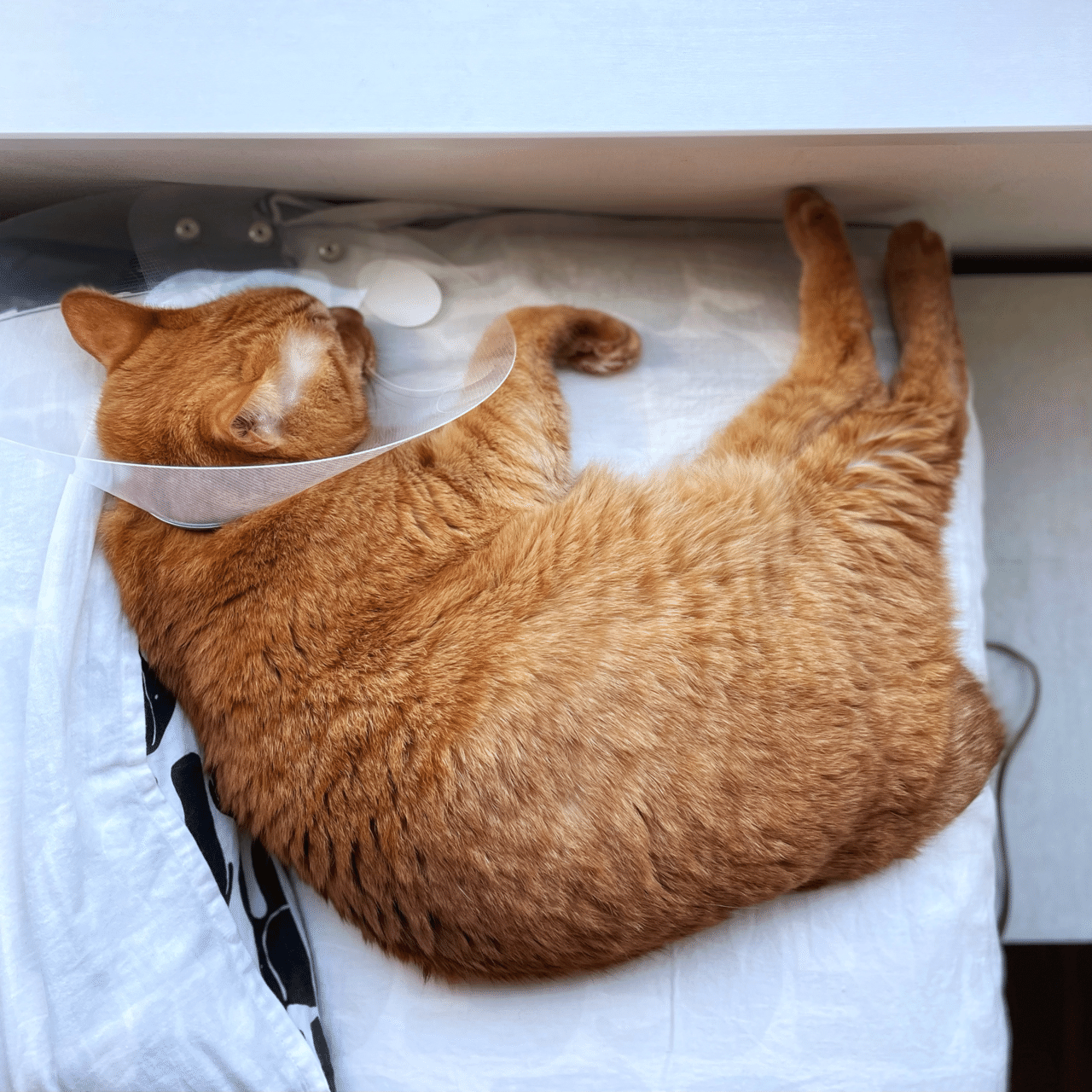 きっと順調 Mizunote Note