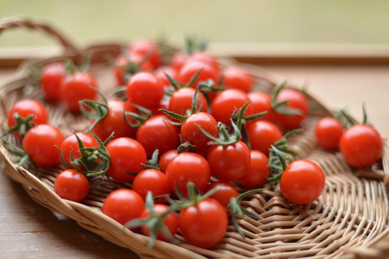 本日 夏休み前の ラストデー ぜひお越しくださいね くらしアトリエ 地域と暮らしの発信 Note