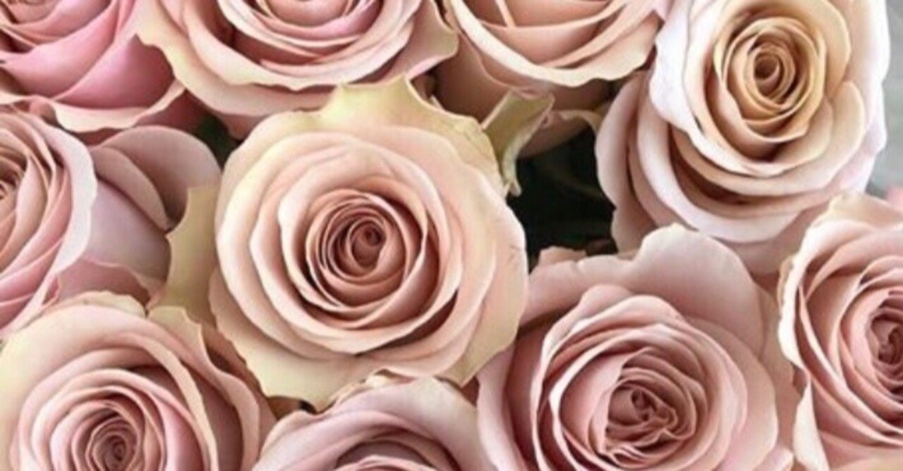 プロポーズに人気なベージュピンクのバラ 花屋はな輔 熊本 Note