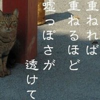 蜘蛛の巣 Vivi Note