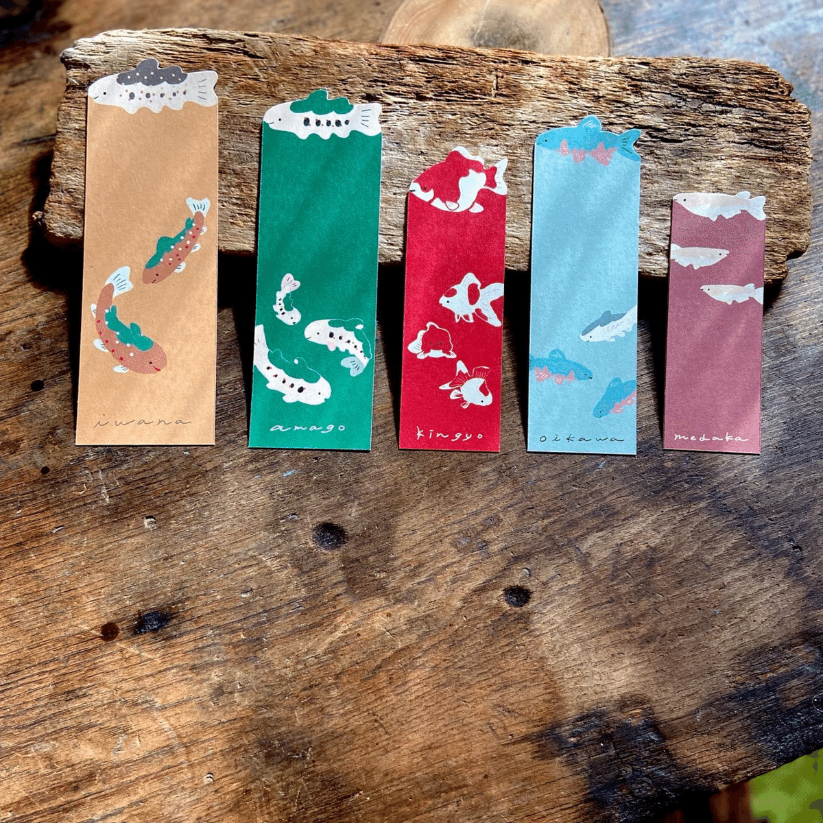 栞展のはなし｜木溪そのみ