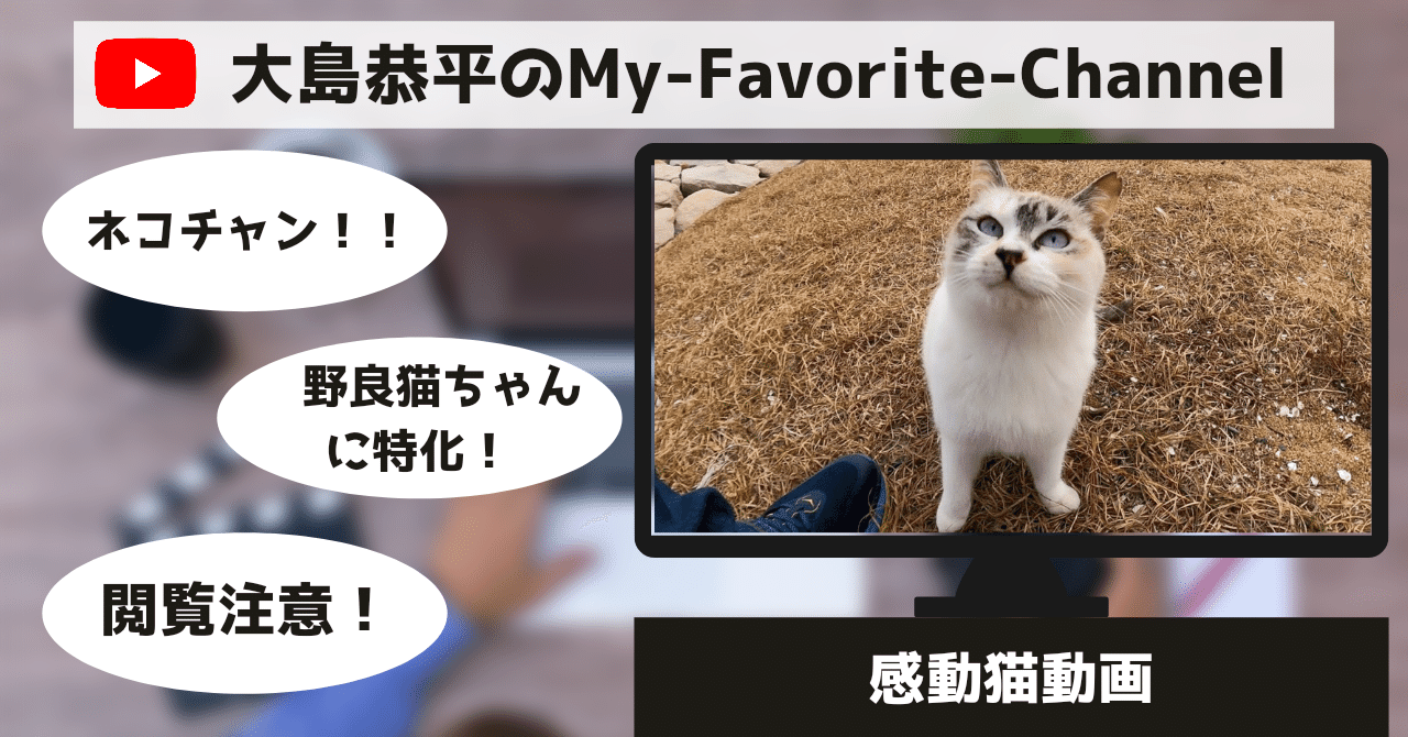 大島恭平のmy Favorite Channel 感動猫動画 大島恭平 格闘技と演劇と雑談 Note