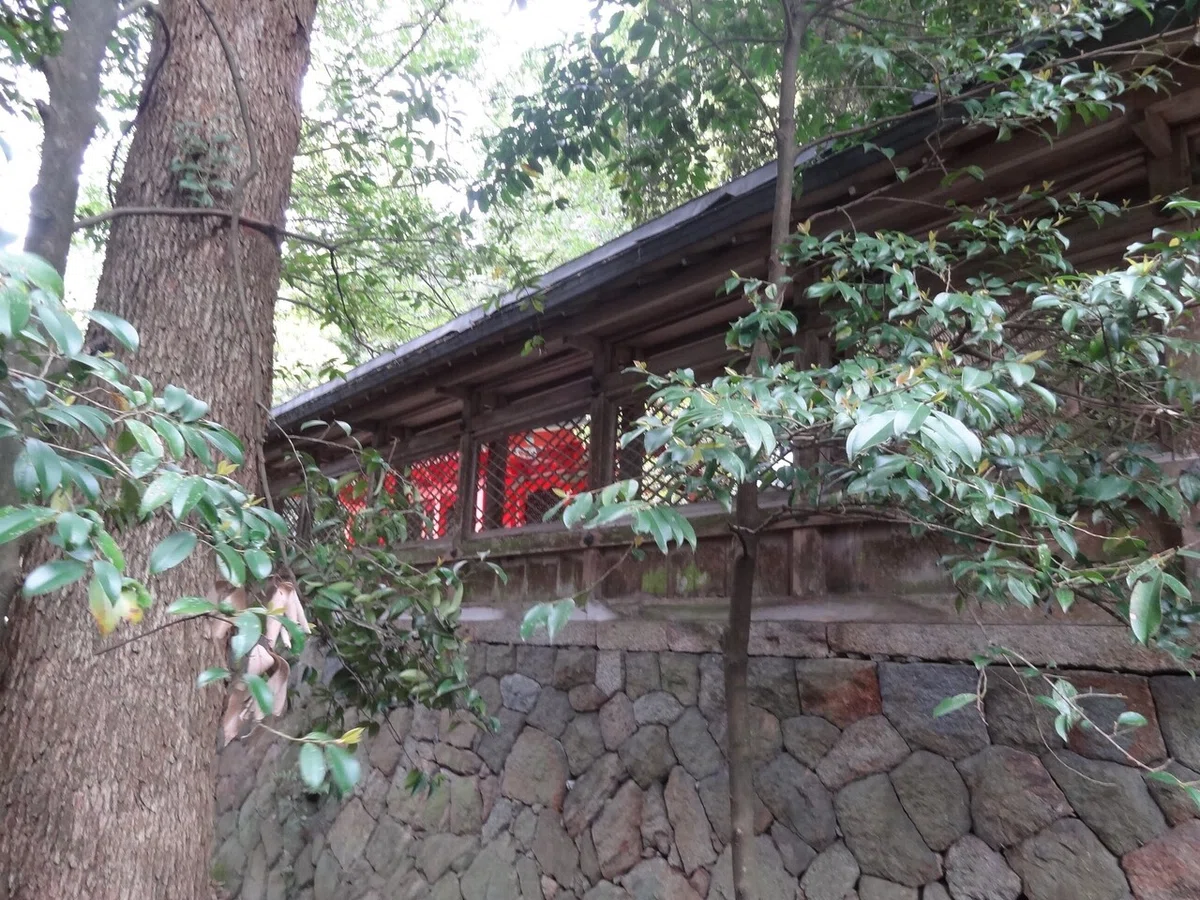 画像5