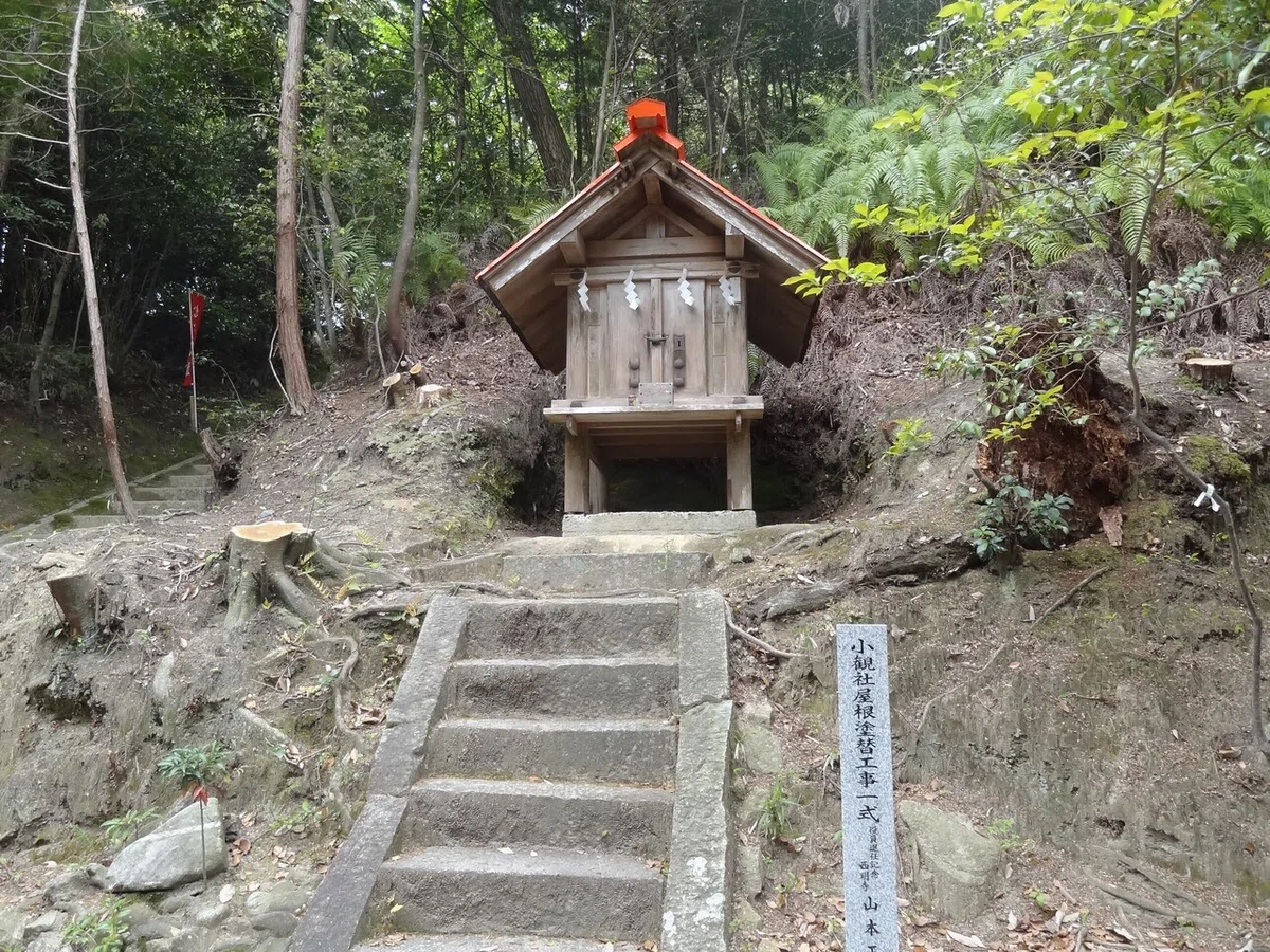 画像7