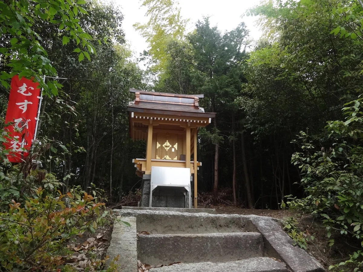 画像8