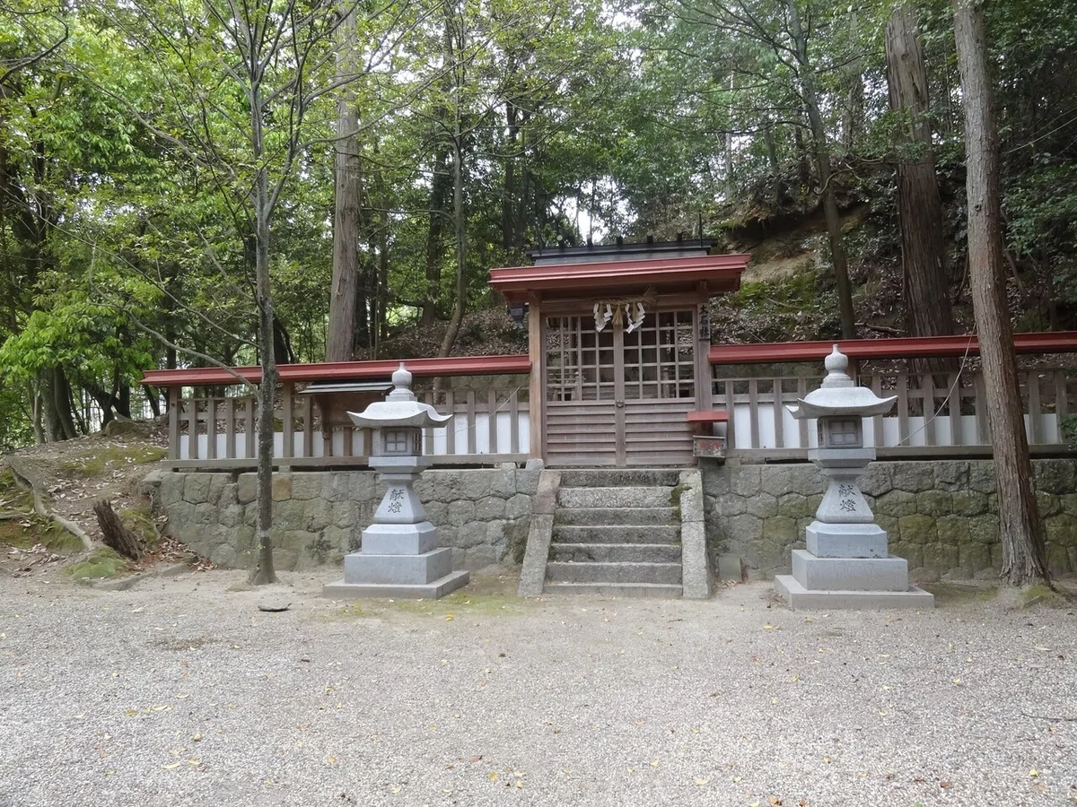 画像9