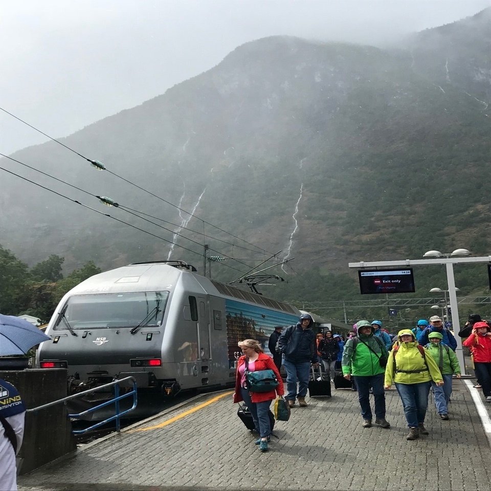 フィヨルドとサーモンとサウナの旅5 雨のソグネフィヨルド フロム鉄道の車窓 Purumuyo Note
