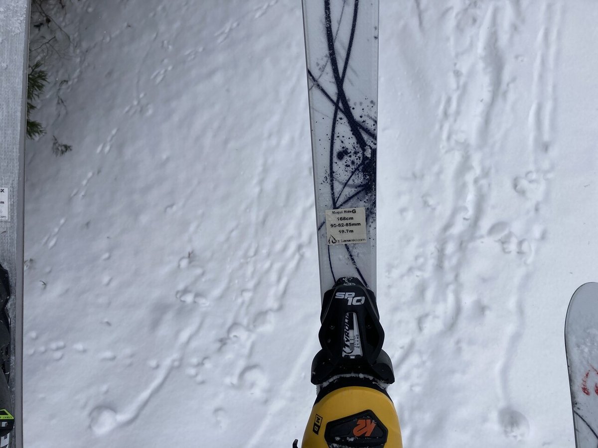 2022/01/30 ID one試乗会(1)|Ski Patrol Emergency Number 2022/01/30 ID one試乗会(1)|Ski Patrol Emergency Number
