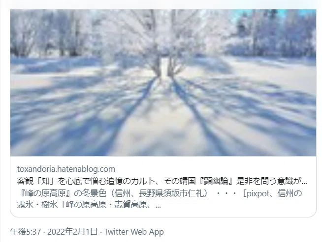 画像14
