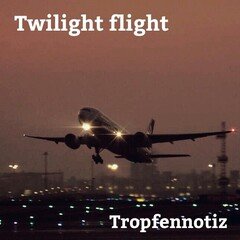 黄昏飛行（Twilight flight）～真冬の空へ～