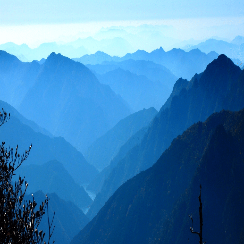 日本の神仙道｜MORFO HUB