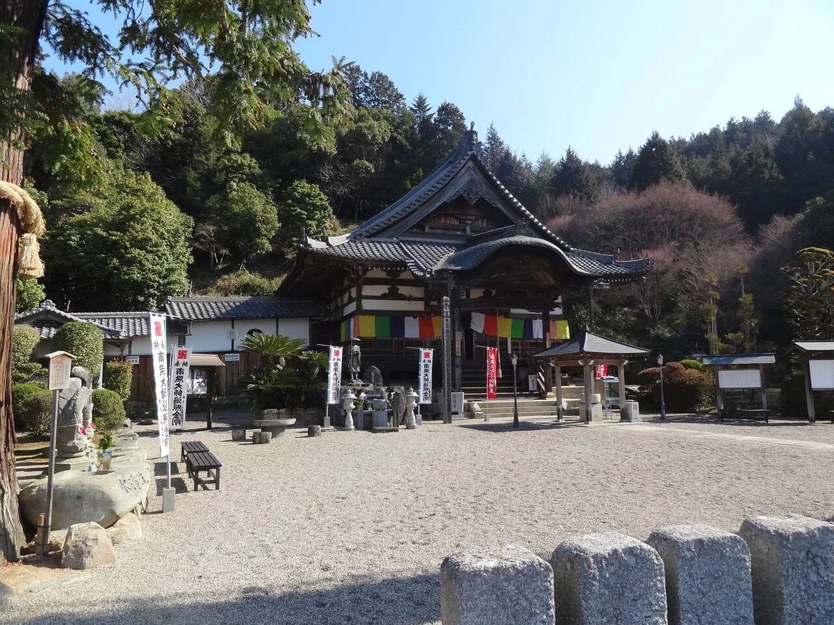 画像4