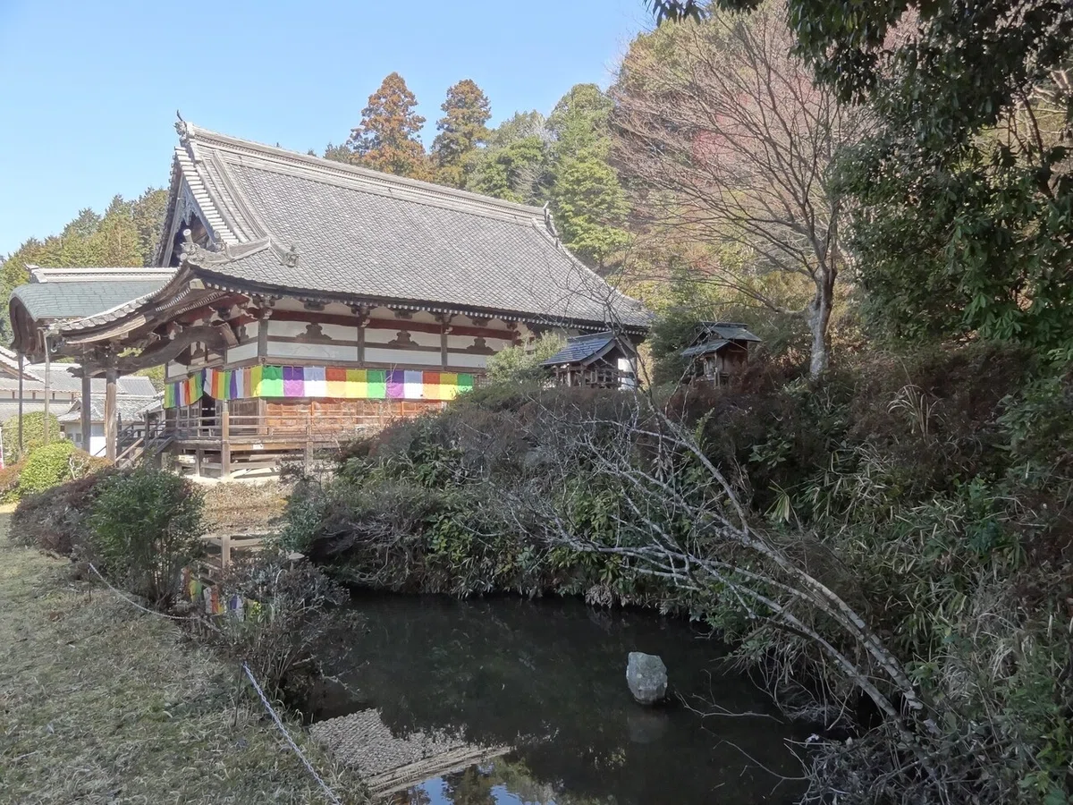 画像7