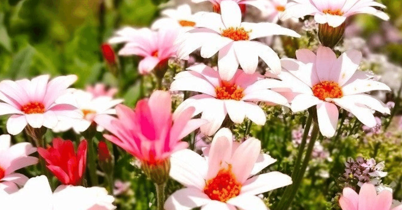 For A Man か For Manか 月面着陸のアームストロング氏の名言をめぐる冠詞騒動について 三浦陽一 Note For A Man か For Manか 月面着陸のアームストロング氏の名言をめぐる冠詞騒動について 三浦陽一 Note