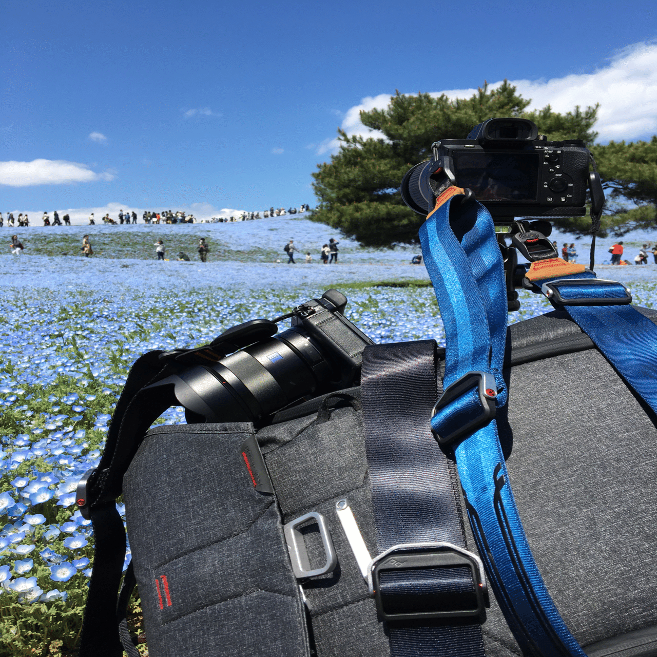 454 【機材】安心して使えるアクセサリー、Peak Design｜旅するフォト