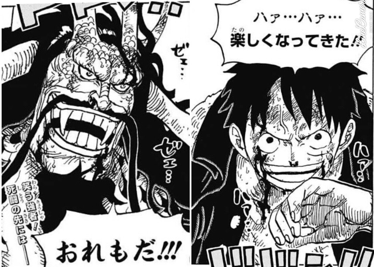 One Piece 考察 ゴムゴムの実の正体とは 山野 礁太 ライター One Piece学 研究家 Note