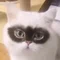 ふるーる