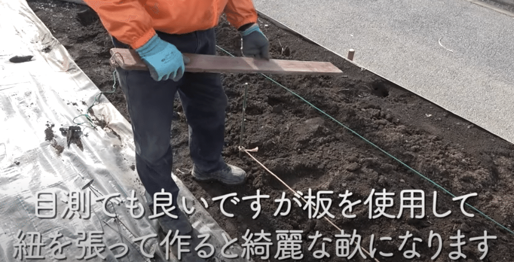 家庭菜園や農園で春までにマスターしたい 栽培の基本 畝立てやマルチの貼り方の極意を徹底解説 長畝をまっすぐ作る技を公開 井上寅雄農園 井上隆太朗 Note