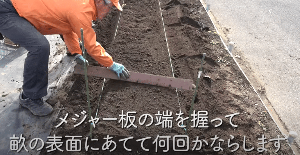 家庭菜園や農園で春までにマスターしたい 栽培の基本 畝立てやマルチの貼り方の極意を徹底解説 長畝をまっすぐ作る技を公開 井上寅雄農園 井上隆太朗 Note