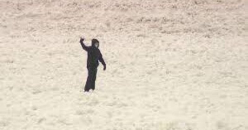 コロナに負けるな、アメリカ！ 凍結したミシガン湖の氷上を散歩した男性をレスキュー隊が救助！