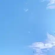 みにまる